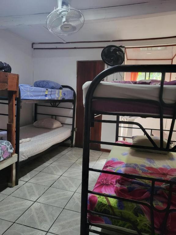Downtown Montezuma Hostel Exteriér fotografie